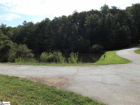 300 Cedar Creek Dr, Sunset, SC 29685 photo 13