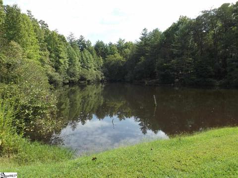 300 Cedar Creek Dr, Sunset, SC 29685 photo 3