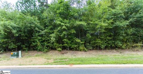 305 Red Spruce Ln, Greer, SC 29651 photo 3