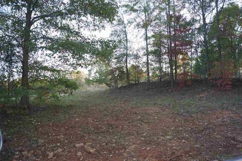 130 Mccrea Ct, Easley, SC 29640 photo 1