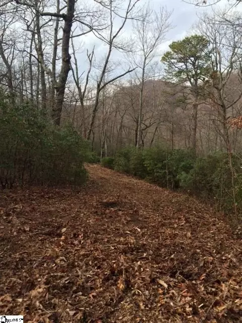 512 Panther Mountain Road #LOT 4, Travelers Rest, SC 29690