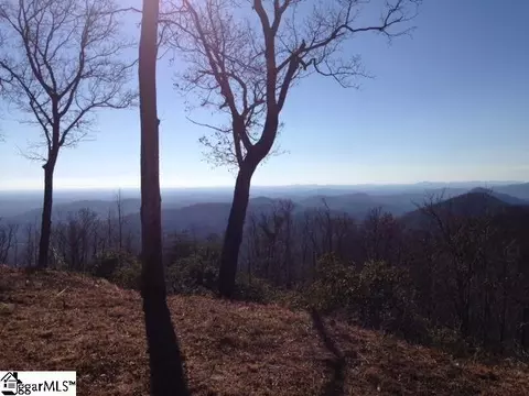 1506 Panther Park Trl, Travelers Rest, SC 29690