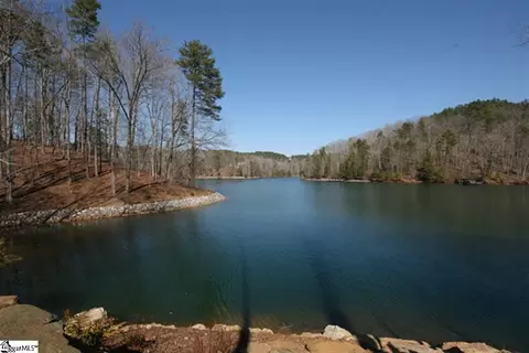 116 Great Camp Ct, Sunset, SC 29685 photo 23