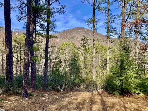 11 Misty Hollow Trl, Travelers Rest, SC 29690