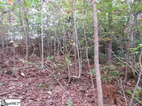 329 Woodmere Dr #LOT 97, Pickens, SC 29671