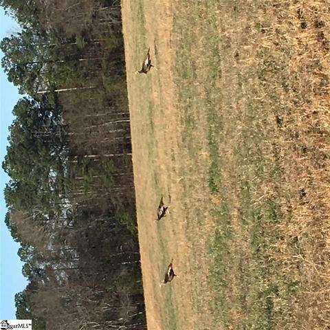 208 Napoleon Rd, Pelzer, SC 29669 photo 9