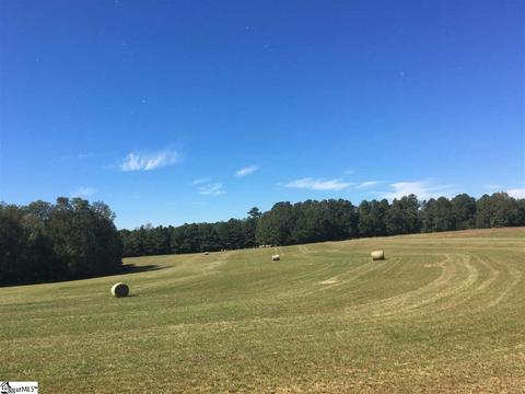 208 Napoleon Rd, Pelzer, SC 29669 photo 21