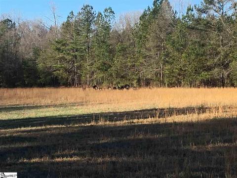 208 Napoleon Rd, Pelzer, SC 29669 photo 11