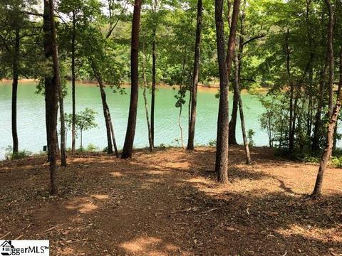 370 Peninsula Rdg, Sunset, SC 29685 photo 14