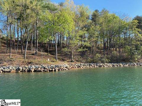 370 Peninsula Rdg, Sunset, SC 29685 photo 2