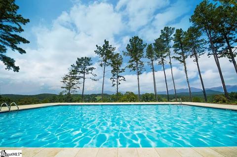 370 Peninsula Rdg, Sunset, SC 29685 photo 16