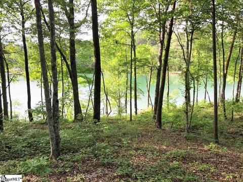 370 Peninsula Rdg, Sunset, SC 29685 photo 10