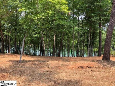 370 Peninsula Rdg, Sunset, SC 29685 photo 13