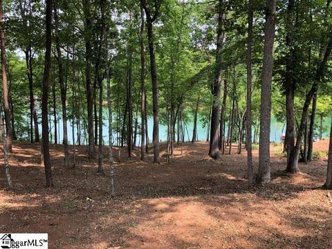 370 Peninsula Rdg, Sunset, SC 29685 photo 9