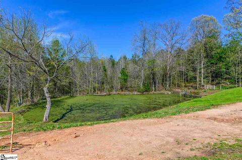 720 Bryant Rd, Pelzer, SC 29669 photo 5