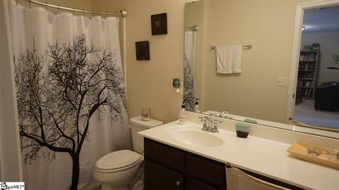 338 Bellerive Dr, Duncan, SC 29334 photo 24