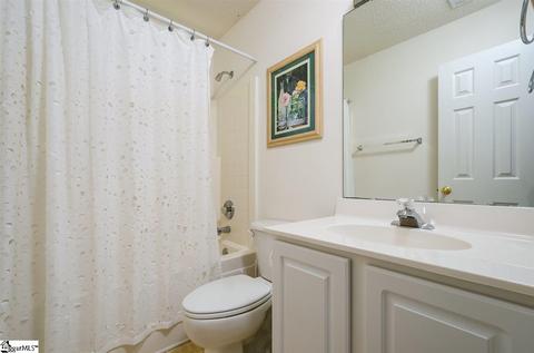217 Canvasback Way, Easley, SC 29642 photo 22