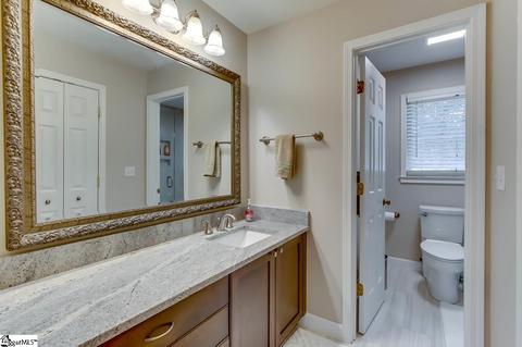10 River Way Dr, Greer, SC 29651 photo 30