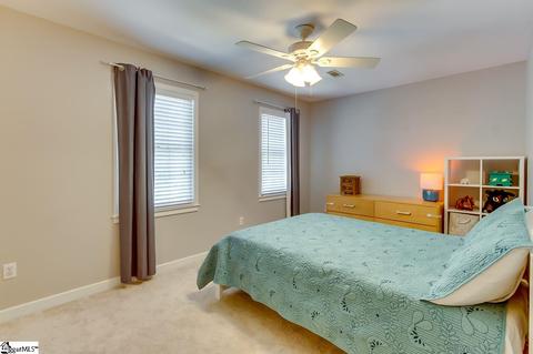 10 River Way Dr, Greer, SC 29651 photo 24