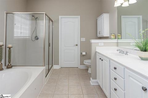 202 Aldgate Way, Greer, SC 29650 photo 19