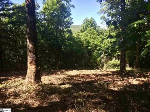 28 Wild Ginger Rd, Landrum, SC 29356