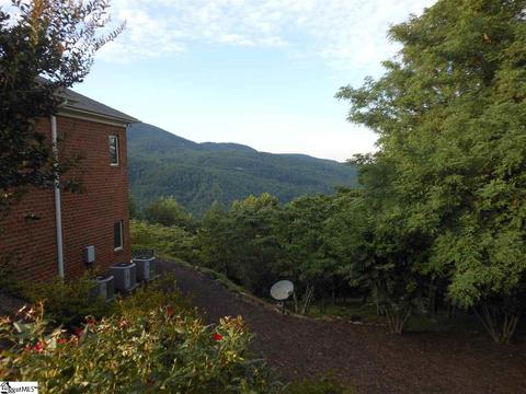 93 Eagle Rock Rd, Landrum, SC 29356 photo 5