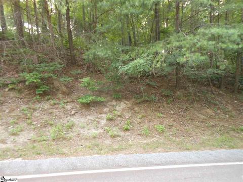 93 Eagle Rock Rd, Landrum, SC 29356 photo 8
