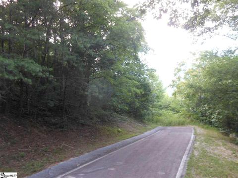 93 Eagle Rock Rd, Landrum, SC 29356 photo 7