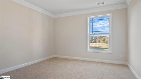 204 Granito Dr, Greer, SC 29650 photo 16