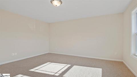 204 Granito Dr, Greer, SC 29650 photo 22
