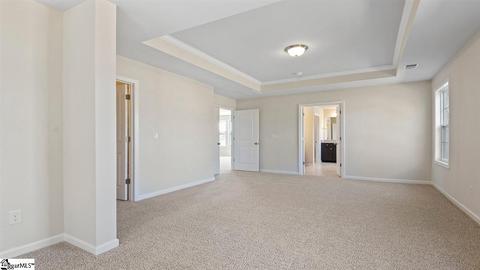601 Carmelo Ct, Greer, SC 29650 photo 19