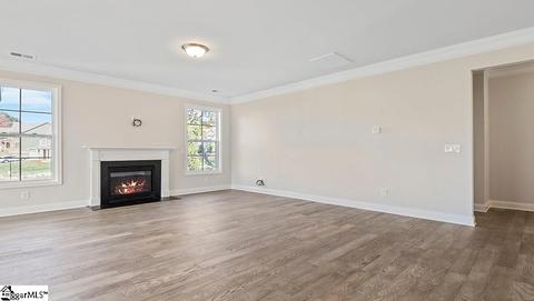 601 Carmelo Ct, Greer, SC 29650 photo 13