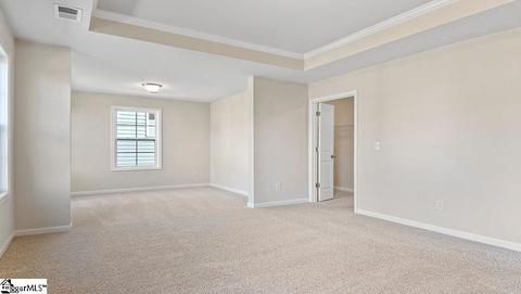 601 Carmelo Ct, Greer, SC 29650 photo 20