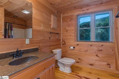 330 Autumn Ln, Tryon, NC 28782 photo 17