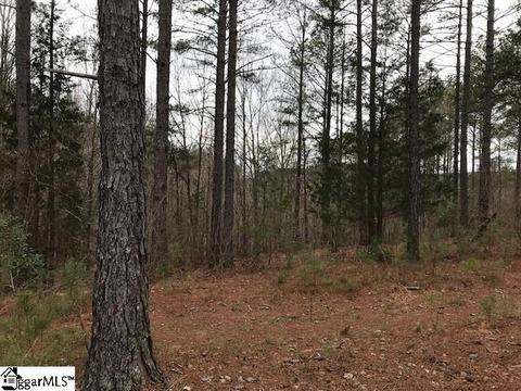 204 Augusta Way, Sunset, SC 29685 photo 1