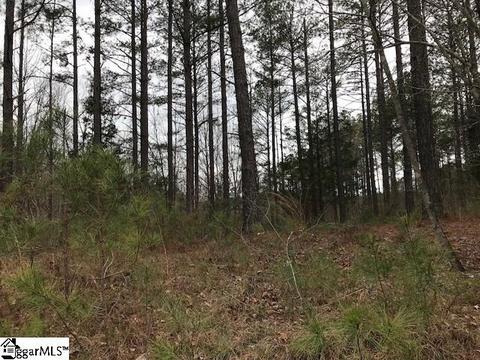 204 Augusta Way, Sunset, SC 29685 photo 4