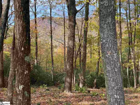 1526 Panther Park Trl, Travelers Rest, SC 29690
