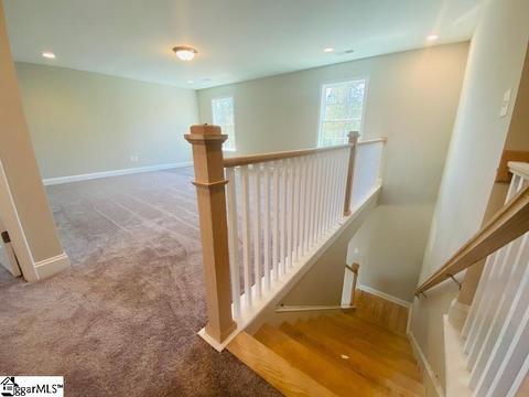 302 Townsend Ave, Greer, SC 29651 photo 17