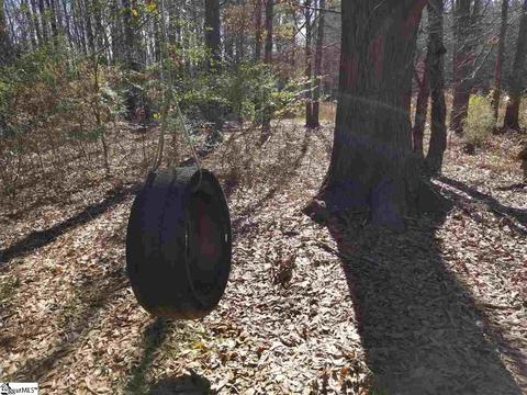 1596 Dunklin Bridge Rd, Honea Path, SC 29654 photo 7