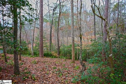 110 Trottingwolf Trl, Sunset, SC 29685 photo 28
