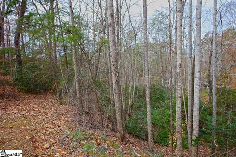 110 Trottingwolf Trl, Sunset, SC 29685 photo 21