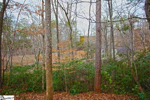 110 Trottingwolf Trl, Sunset, SC 29685 photo 29