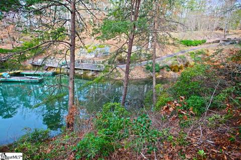 110 Trottingwolf Trl, Sunset, SC 29685 photo 8