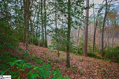 110 Trottingwolf Trl, Sunset, SC 29685 photo 27