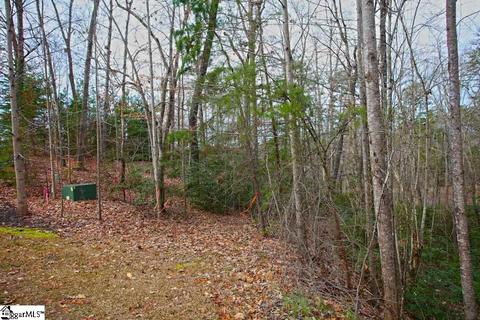 110 Trottingwolf Trl, Sunset, SC 29685 photo 22
