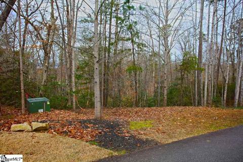 110 Trottingwolf Trl, Sunset, SC 29685 photo 23