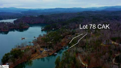 110 Trottingwolf Trl, Sunset, SC 29685 photo 31
