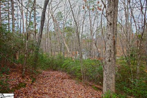 110 Trottingwolf Trl, Sunset, SC 29685 photo 24