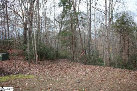 110 Trottingwolf Trl, Sunset, SC 29685 photo 20