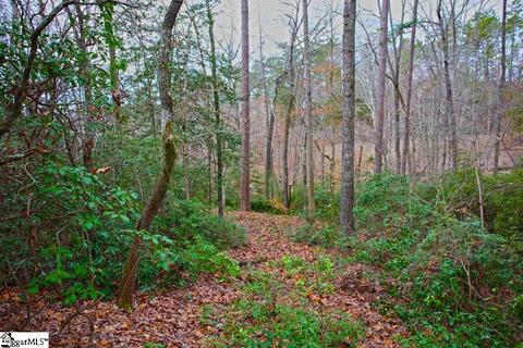 110 Trottingwolf Trl, Sunset, SC 29685 photo 26